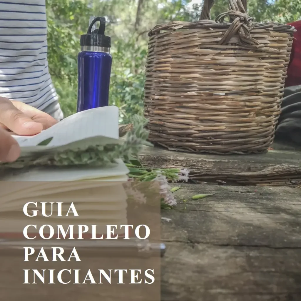 Como Usar Óleos Essenciais: Guia Completo para Iniciantes