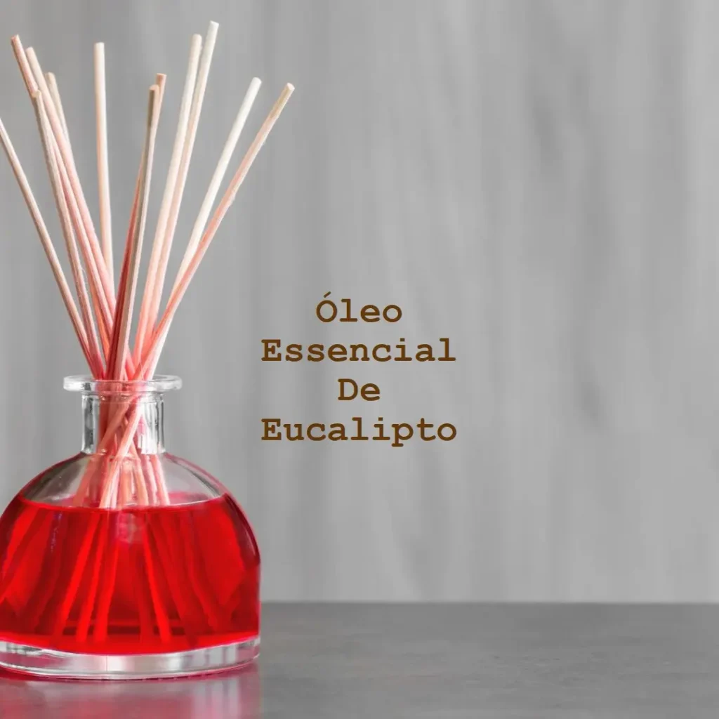 Benefícios Incríveis do Óleo Essencial de Eucalipto