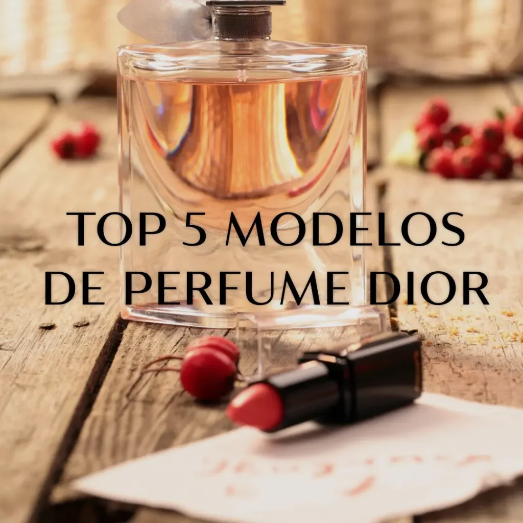 Top Cinco Modelos de dior perfume