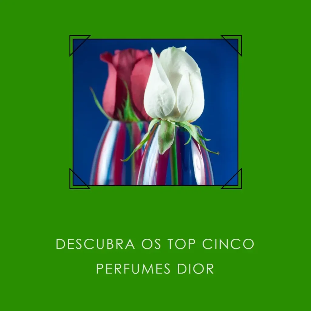 Top Cinco perfume dior