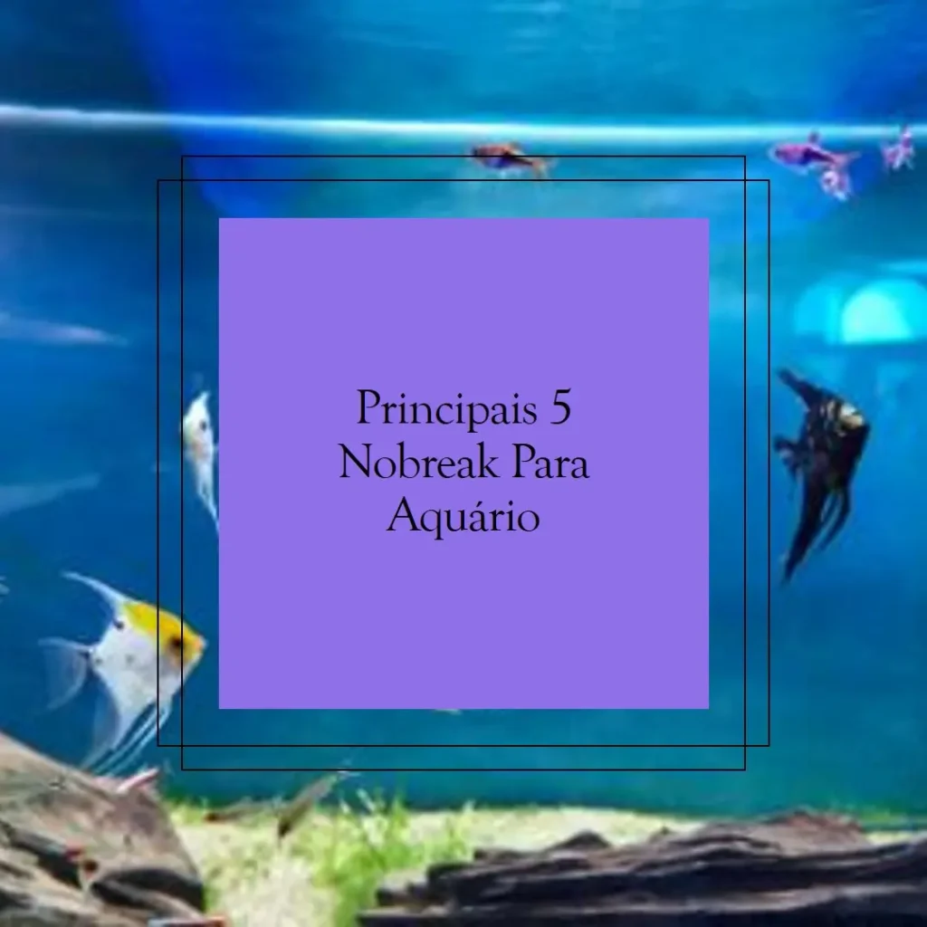 Principais 5 nobreak para aquario