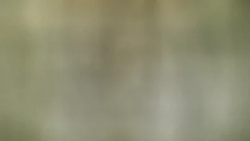 Bateria que dura: 3 placas-mãe B550 para desempenho extremo